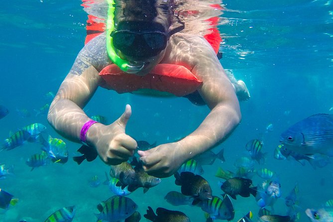 Las Caletas Beach & Adventure Park with buffet lunch and open bar - Cooking, Margaritas, and Mezcal: Included Lessons That Make the Day Stick