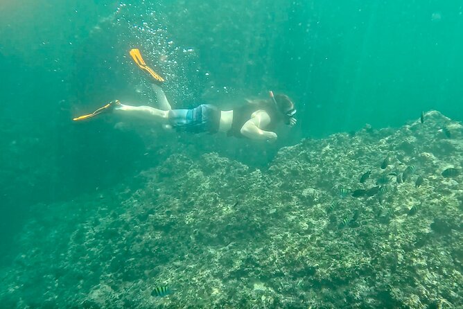 Los Arcos Snorkeling & 5 Island Adventure - Timing: two hours that fit real vacation plans