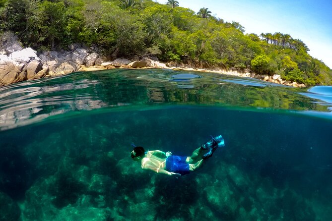 Luxury Yacht & Snorkel with All inclusive Open bar and lunch - Price and Value: What You’re Really Paying For
