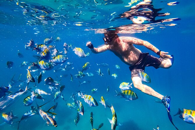 Luxury Yacht & Snorkel with All inclusive Open bar and lunch - The Cruise Phase: Bay of Banderas Views, Los Arcos Pass-By, and Wildlife Watch
