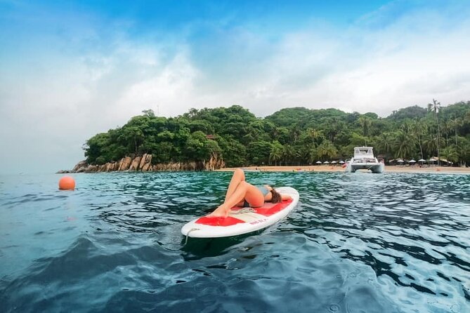 Luxury Yacht & Snorkel with All inclusive Open bar and lunch - Snorkeling Time, Gear, and What Marine Life Is Like