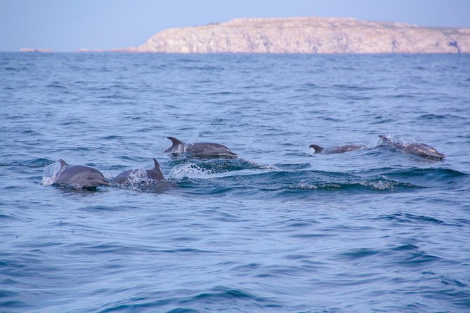 Marietas Hidden beach trip from Puerto Vallarta - Snorkeling and birdwatching around the Marietas Islands