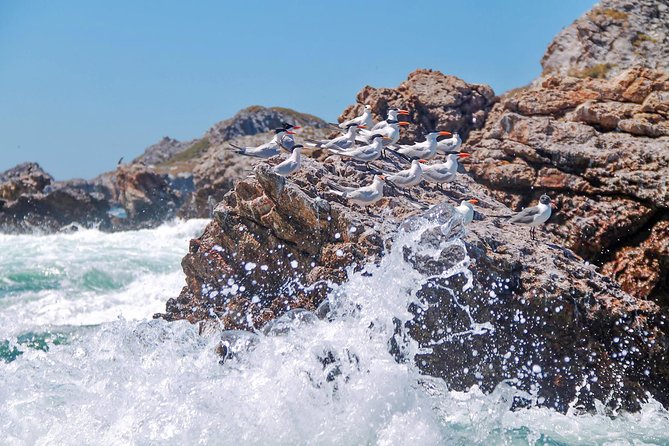 Marietas Hidden beach trip from Puerto Vallarta - What to bring so the trip feels easy instead of miserable