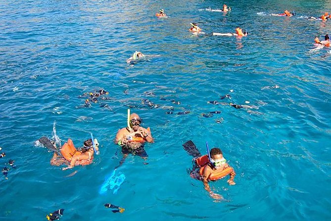 Marietas Islands Snorkel Cruise from Puerto Vallarta All Inclusive - Snorkeling at the Marietas reefs: what to expect (and what not to expect)