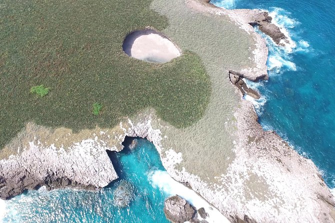 Marietas Islands Snorkel Cruise from Puerto Vallarta All Inclusive - Wildlife sightings: why people talk about the ride, not just the island