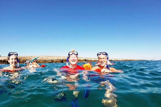 Marietas Islands snorkeling & Hidden beach (w/ restrictions) - The boat ride: wildlife spotting starts before you’re in the water
