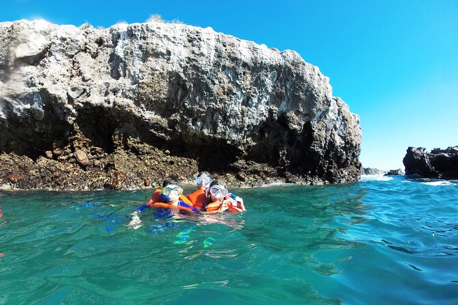 Marietas Islands snorkeling & Hidden beach (w/ restrictions) - Marina Vallarta meet-up and how the day runs in real time