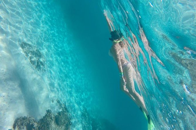 Marietas Islands Snorkeling Tour - From Puerto Vallarta: What the Water View Really Gives You