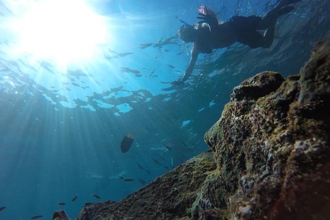 Marietas Islands Snorkeling Tour - Getting In and Out: Why Small Boat Setup Helps