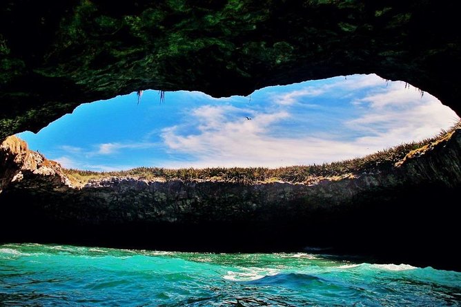Marietas Islands with Guaranteed Entry to Playa Escondida - Leaving Puerto Vallarta: the 8:30 AM start and why timing matters