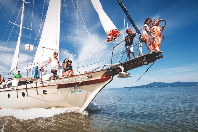 Marietas Sail, Snorkel and Beach - From Paradise Village Pier to Marietas: what the 7 hours actually feels like
