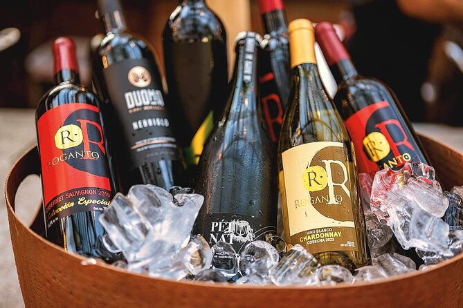 Mexican Wine Tasting Experience - Timing, Group Size, and Comfort Factors