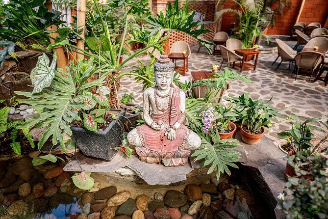 Mexican Wine Tasting Experience - Entering the Garden: What the Setting Does for Your Tasting