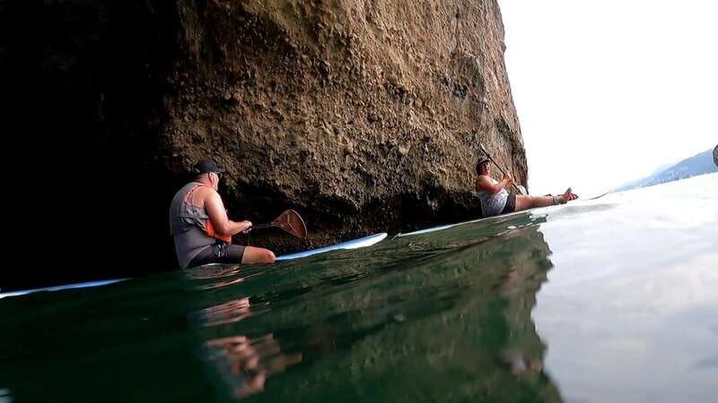 Mismaloya: Stand-Up Paddleboard & Snorkeling to Los Arcos - Key highlights you’ll actually feel on the water