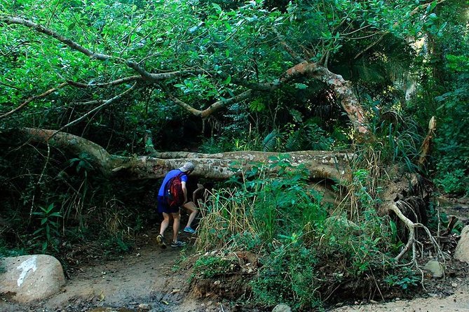 Monkey Mountain Jungle Hike Adventure - Price and value: what $85 buys you on the ground