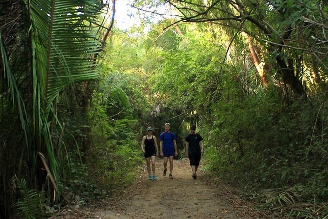 Monkey Mountain Jungle Hike Adventure - Pace, fitness, and who this hike fits best