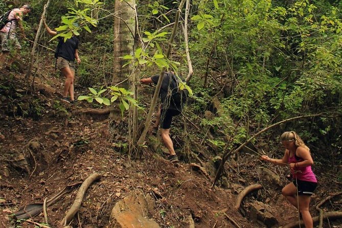 Monkey Mountain Jungle Hike Adventure - Logistics that actually matter: language, group size, and confirmation