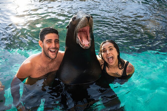 Ocean Mania & water park experience in Puerto Vallarta - RattleSnake, Zip-Line, and Step-Up: Know the Limits Before You Commit