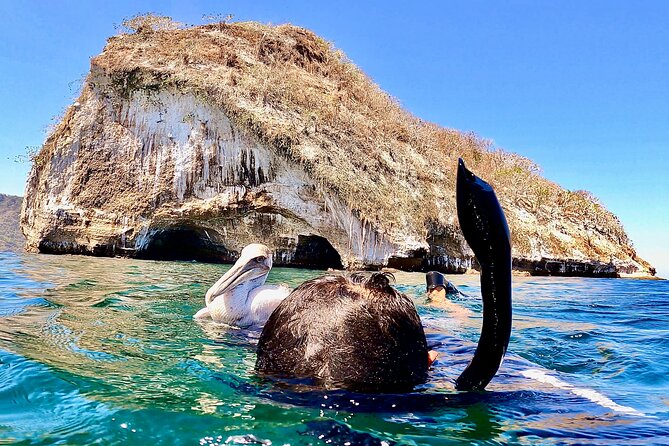 Paddleboard and Snorkeling Experience in Los Arcos - Sliding into the caves: the scenery moment that justifies the work