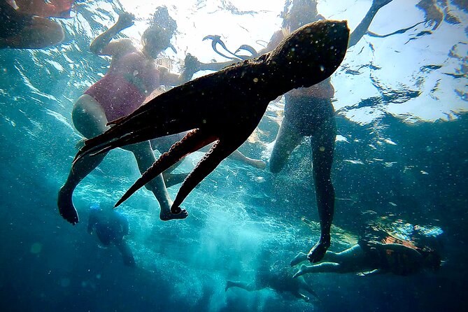 Paddleboard and Snorkeling Experience in Los Arcos - Snack, water, and the ride back: finishing strong