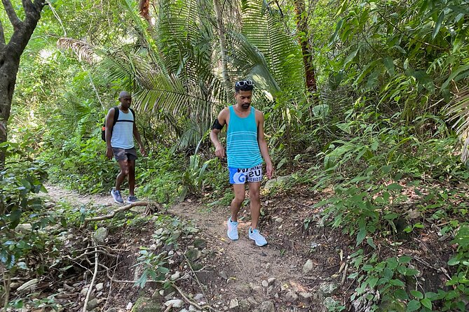 Palo María Waterfalls Hike Half-Day Tour - Who should book this Palo María hike?