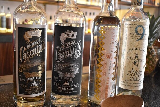 Premium Artisanal Tequila Tasting at El Tasting Room - Who teaches you matters: the guides, bartenders, and the small-group vibe