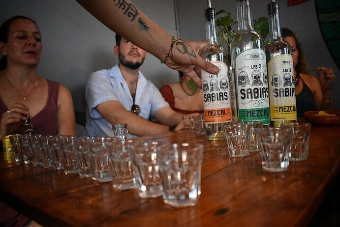 Premium Artisanal Tequila Tasting at El Tasting Room - Who should book this Puerto Vallarta tequila tasting, and who might skip it