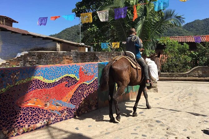 Private Boat Tour to Yelapa - Yelapa exploration: waterfall time, church sights, and easy local walking
