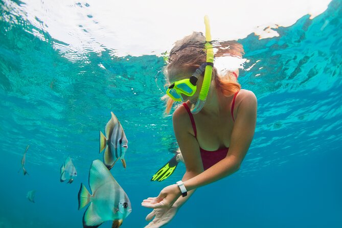 Private Boat Tour to Yelapa and Majahuitas Snorkel (up to 7 guests) - The Waterfall Walk in Yelapa: Hidden-Style Payoff and Real Walking Time