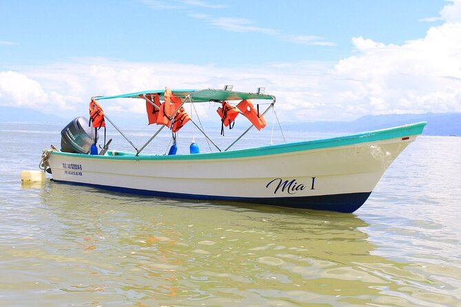 Private Boat Tour to Yelapa and Majahuitas Snorkel (up to 7 guests) - Who This Tour Fits Best (and Who Might Want a Different Day)