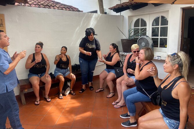 Private City Tour & Rain Forest - The quick town stop that connects PV’s story to tourism