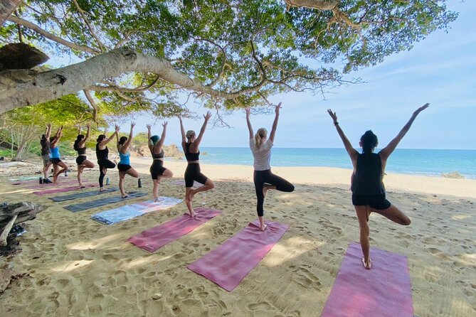 Private Customized Group Yoga Class with Wanderlust Sayulita - Meeting Point in Sayulita: How to Show Up Without Stress