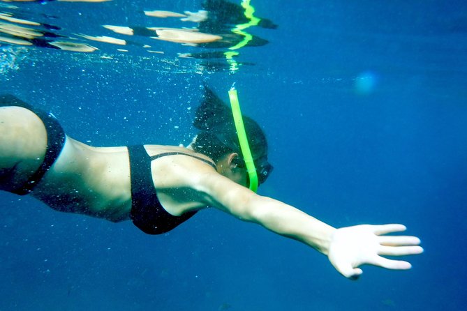 Private Los Arcos Snorkel and Beach Tour from Puerto Vallarta - Key Points Before You Go