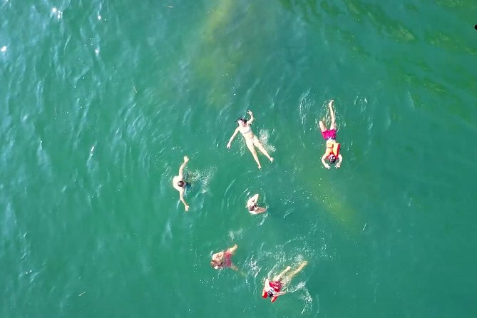 Private Los Arcos Snorkel and Beach Tour from Puerto Vallarta - Price and Value at $168 Per Person