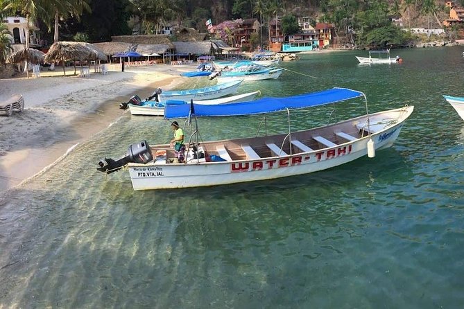 Private Los Arcos Snorkel and Beach Tour from Puerto Vallarta - Weather, Water Clarity, and the Snorkeling Odds