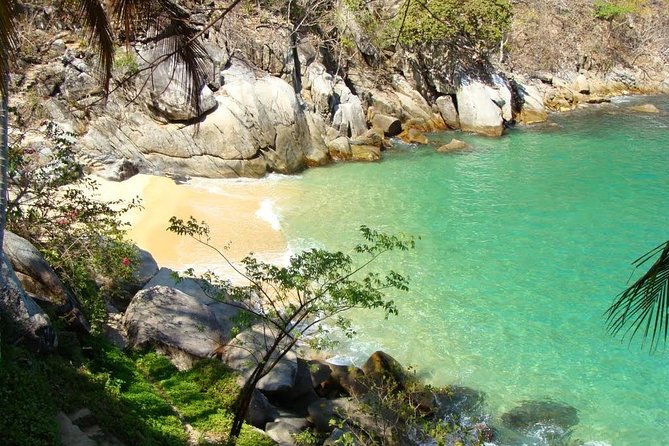 Private Los Arcos Snorkel and Beach Tour from Puerto Vallarta - Parque Nacional Marino Los Arcos: What You See While Snorkeling