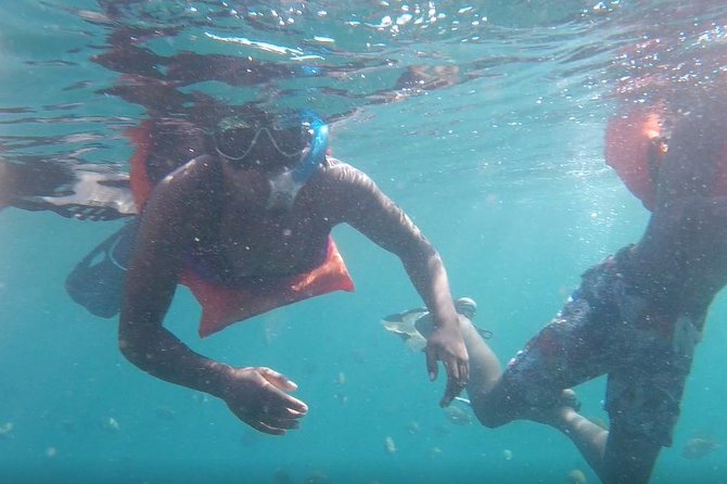 Private Los Arcos snorkeling - What’s Included (and What You’ll Need to Handle)