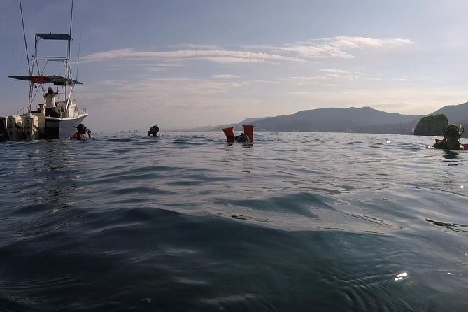 Private Los Arcos snorkeling - The Marine Biologist Guide: Why It Changes Everything