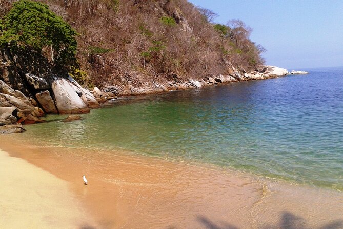 Private Snorkeling Adventure: Los Arcos & Colomitos Beach - Playa Colomitos beach time: ending the day in a calmer way