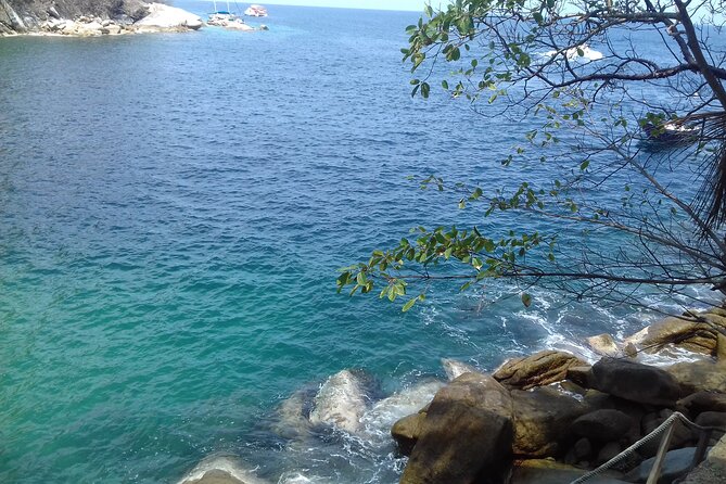Private Snorkeling Adventure: Los Arcos & Colomitos Beach - Who this private Los Arcos and Colomitos snorkeling trip fits best