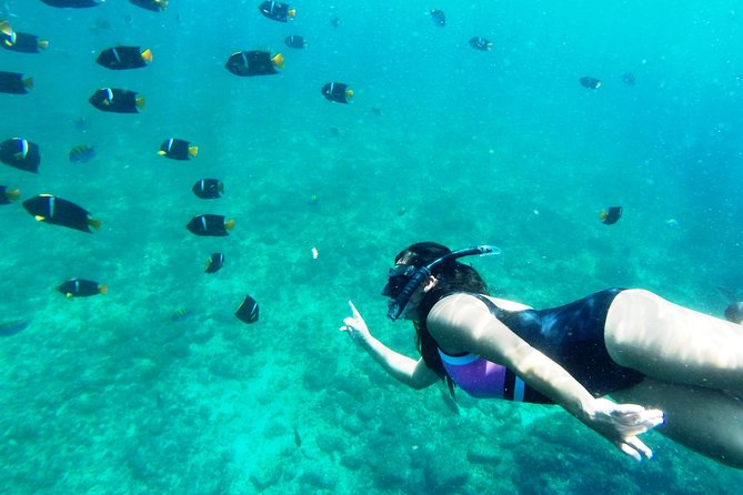Private Snorkeling Adventure: Los Arcos & Colomitos Beach - Check-in at Marina Vallarta: the start is quick
