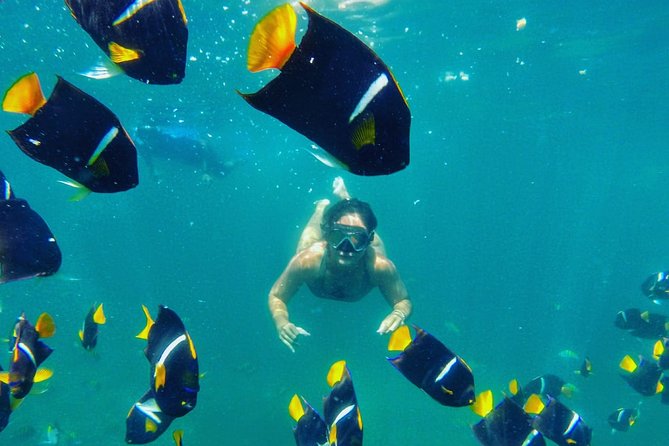 Private Stand Up Paddle Experience in Los Arcos Jalisco - Driving Out to Playa Mismaloya: Warm-Up + Real PV Context