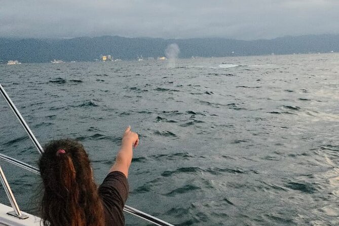 Private Tour 3 Hours of Whale Watching - On the Boat: Shade, Cooler Ice, and Seasickness Reality
