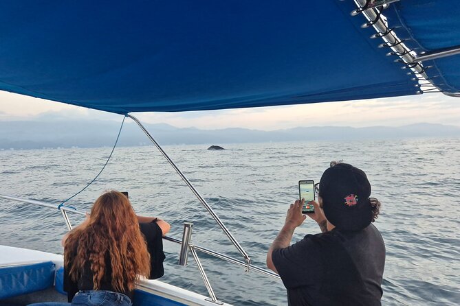 Private Tour 3 Hours of Whale Watching - Private Group of Up to 8: Captains, Language, and Pickup Timing