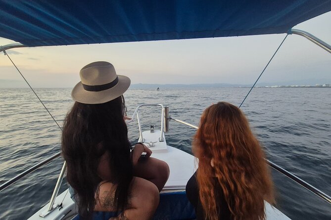 Private Tour 3 Hours of Whale Watching - Los Peines Dock: Getting There From Puerto Vallarta Cruise and Town