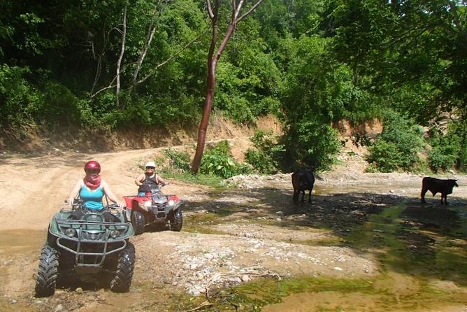 Private Tour: ATV SIERRA MADRE rivers with Tequila Tasting - Best fit: who will love this, and who should reconsider
