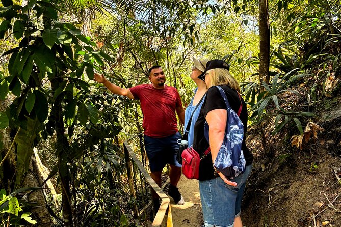 Private Tour: Botanical Garden & Petroglyphs - The Clay-Oven Bakery Stop: Smells, Texture, and Local Craft