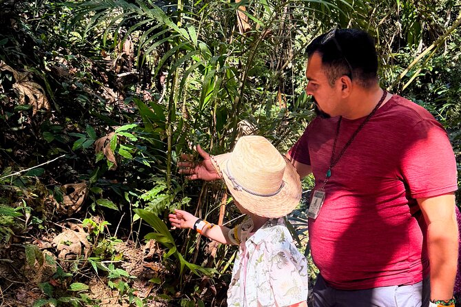 Private Tour: Botanical Garden & Petroglyphs - Price and Value: When This $310 Group Tour Works Best