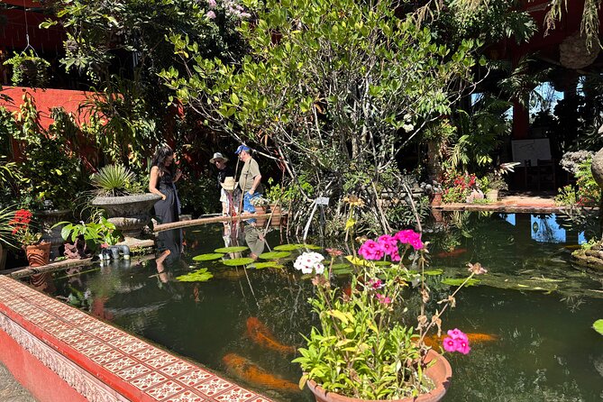 Private Tour: Botanical Garden & Petroglyphs - Jardin Botanico de Vallarta: Orchids, Birds, and a Guided Trail