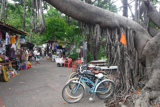 Private Tour in El Malecon Boardwalk Bike Ride - FAQ